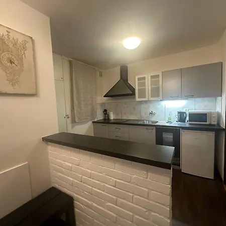 Budget Dlouha Apartmán